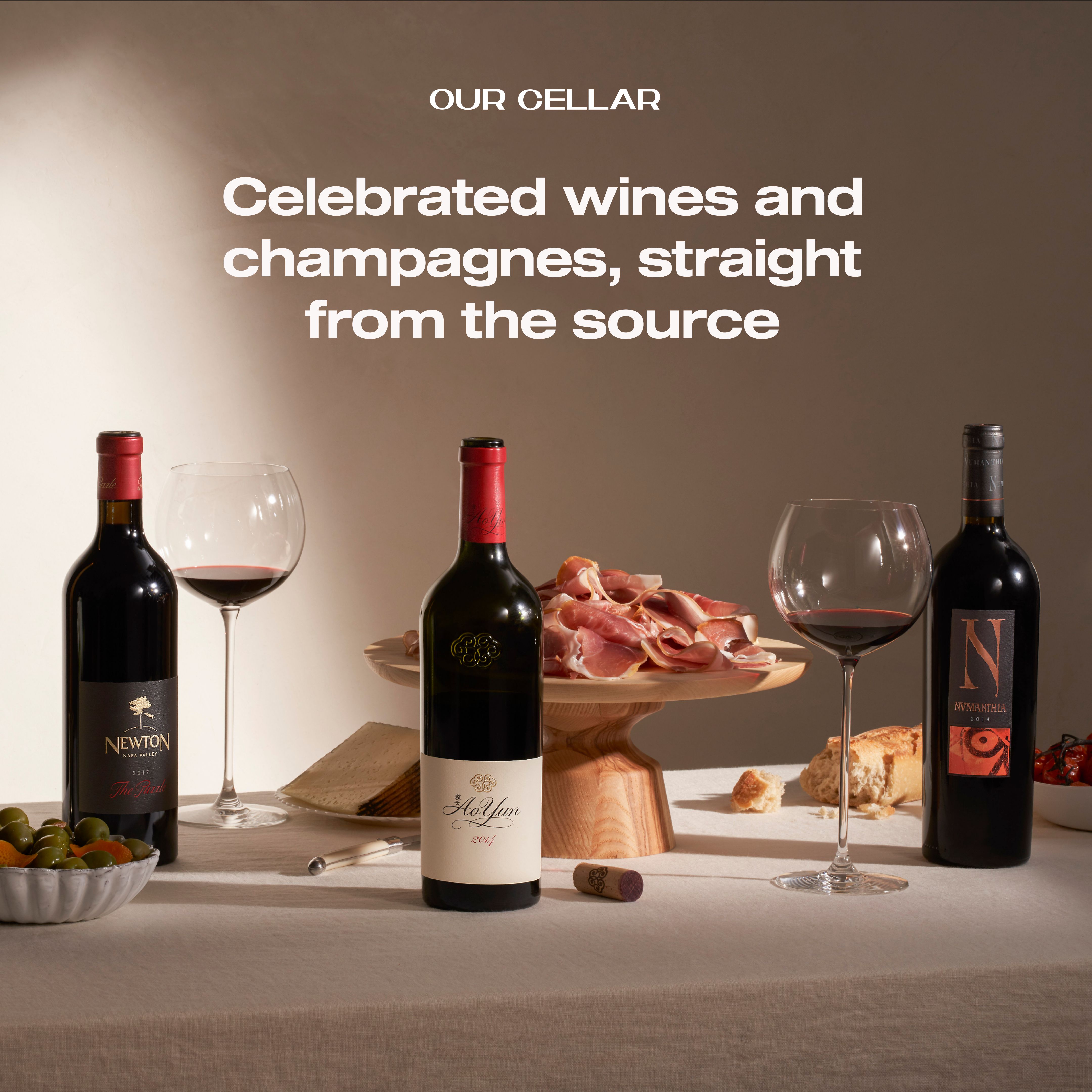 "Celebrated wines and champagnes, straight from the source." Editorial campaign typography over a still-life shot. The brand voice landing in market.